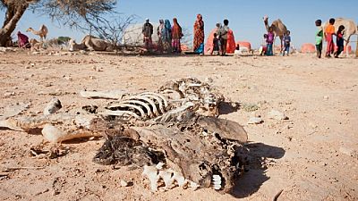 Somalie : 710 millions de dollars pour lutter contre la famine