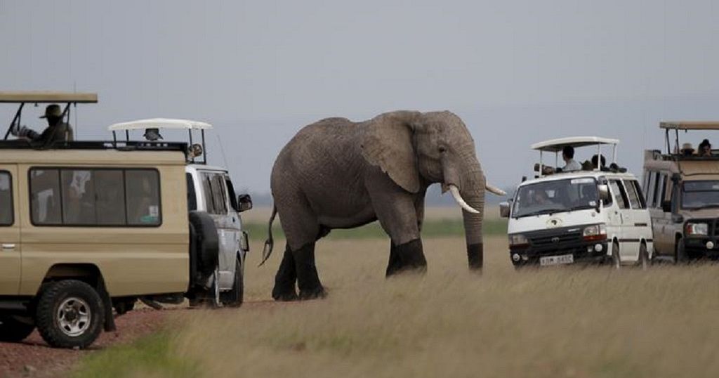 Elephants Divide Opinions Among Botswana's Farmers, Conservationists 