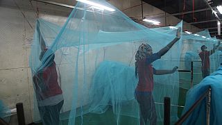 L'Algérie débarrassée du paludisme