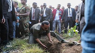Ethiopia PM launches 4 billion tree planting project, starting in Oromia