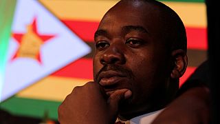 Zimbabwe's main opposition elects Chamisa as leader