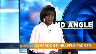 Cameroon's unbowed pineapple farmer [The Morning Call]
