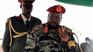 Soudan du Sud : l'embargo sur les armes prorogé