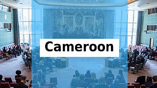UNSC must escalate Cameroon crisis on its agenda – Rights groups