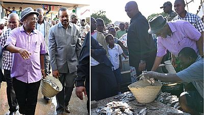 Tanzania president buys fish with basket amid total plastics ban