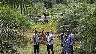 Côte d'Ivoire : les drones à l'aide de l'agriculture