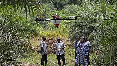 Côte d'Ivoire : les drones à l'aide de l'agriculture