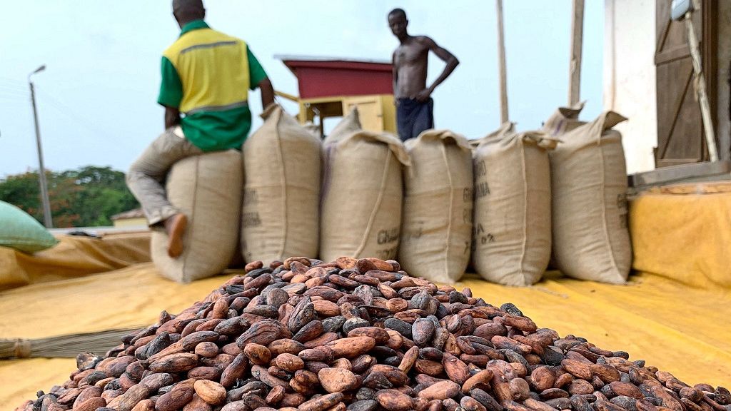 Cocoa industry stakeholders accept price dictated by Ghana, Ivory Coast Africanews