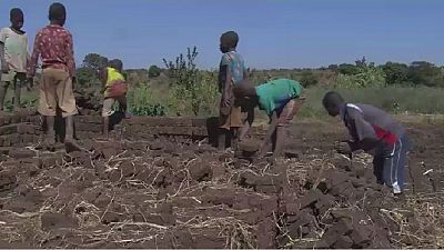 Video: Poverty, culture drive child labour in Malawi