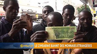 Le Zimbabwe interdit les devises étrangères