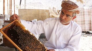 Why is honey in Oman creating a business buzz?
