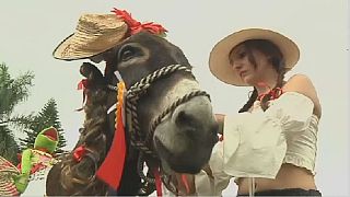 Colombia's Donkey festival