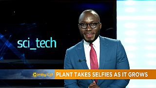 Plant takes selfie as it grows [Sci tech]