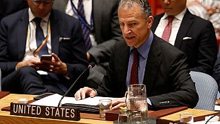 Conseil de sécurité de l'ONU : Washington bloque la condamnation des raids en Libye