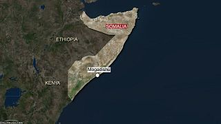 Somalia cuts diplomatic ties with Guinea