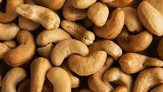 Cote d'Ivoire incentivizes cashew processors
