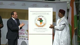 La zone de libre-échange africaine, un "pont" vers la paix (ONU)
