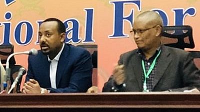 TPLF chief brands Ethiopia PM 'anti-reformist' at regional rally