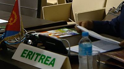 UN renews Eritrea human rights monitoring: African reps abstain, vote against