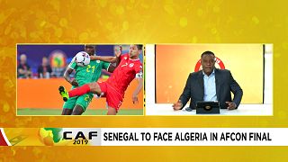 AFCON Daily: Senegal and Algeria to clash in finals [Episode 14]