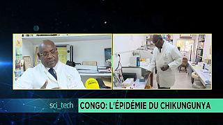 Contenir l'épidémie du chikungunya au Congo [Sci-Tech]