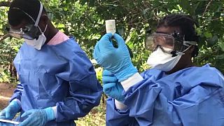 Rwanda dismisses WHO report about possible Ebola border breach