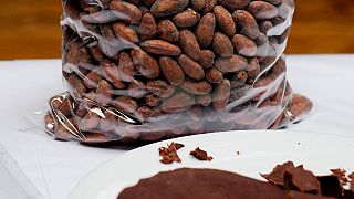 New chocolate sweetened cocoa pulp