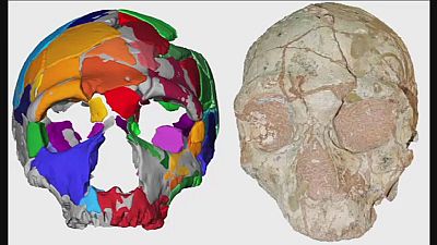 Mysterious skull found in Greece puts a twist on early human migration