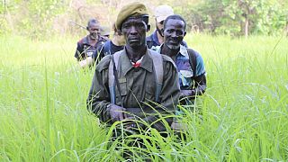 South Sudan struggles to protect wildlife as unrest continues
