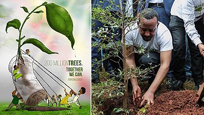 Over 353 million seedlings in 12-hours: Ethiopia 'breaks' tree-planting world record
