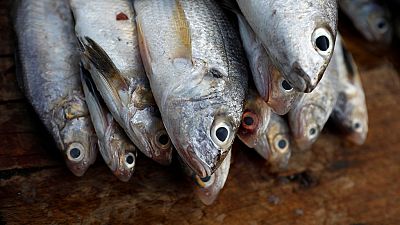 Ghana running out of sea food due to overfishing