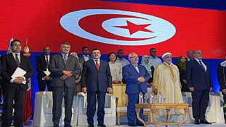 Race for Tunisia presidency heats up as candidate list grows