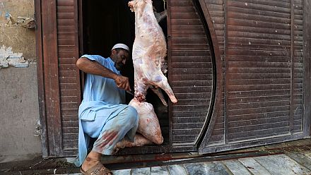 Arrêt sur images du 12 août 2019