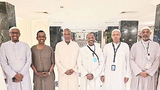 'Cordial apolitical meeting' – Somali minister on photo with Somaliland prez