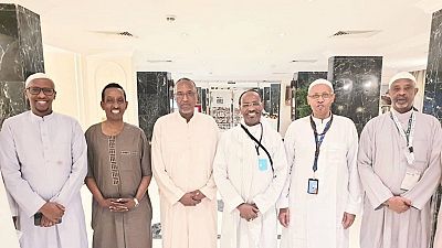 'Cordial apolitical meeting' – Somali minister on photo with Somaliland prez