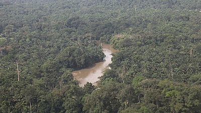 La RDC s'inquiète pour sa forêt faute d'énergie électrique
