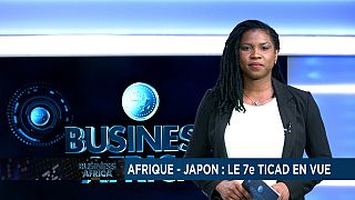 Afrique - Japon : le 7e TICAD en vue