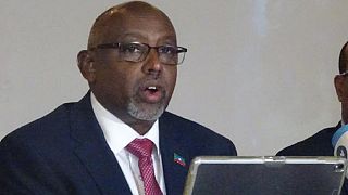 Ex-Ogaden rebels want Ethiopia's 2020 polls to be held on schedule