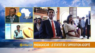 Madagascar : le statut de l'opposition adopté [The Morning Call]