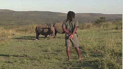 En Afrique du Sud, un ex-braconnier devient défenseur de Rhinocéros