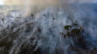 Forêts : l'Afrique brûle aussi, mais pas comme l'Amazonie