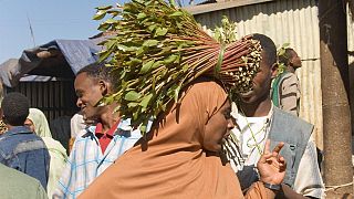 Ethiopie : des cures de désintox pour les accros du khat