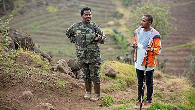 Celebrating Rwanda's first mountain gorillas' vet who just happens to be a woman