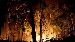 Brésil : L'inquiétude monte face aux feux en Amazonie
