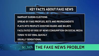 From elections to xenophobia: African countries grappling with fake news [SciTech]