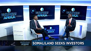 Somaliland seeks investors [Business Africa]