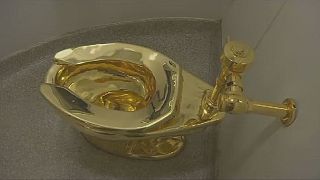 Shock as $1.25 MN gold toilet goes missing in UK palace