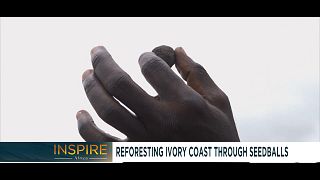 Reforesting Ivory Coast through Seedballs [Inspire Africa]