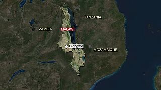 Malawi : décès d'un manifestant après son arrestation par l'armée (avocat)