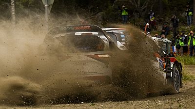 Kenya to host World Rally Championship in 2020